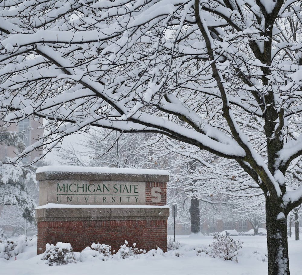<p>MSU affected by heavy snowstorm on Feb. 2, 2022. </p>