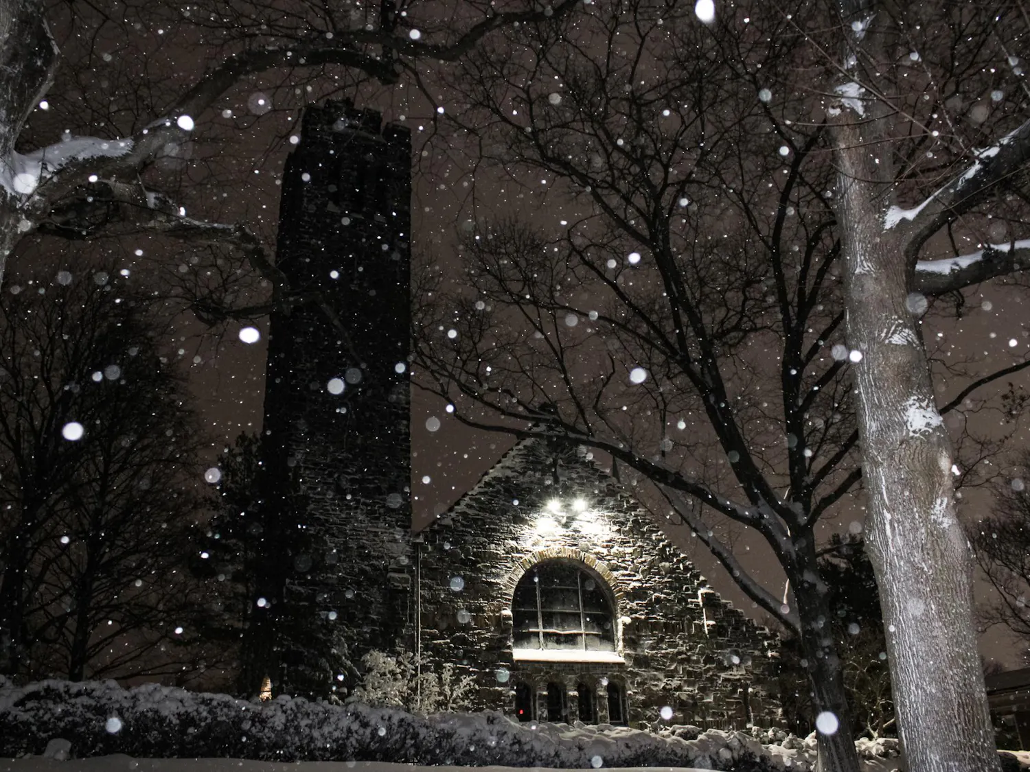 Goddard in the Snow.jpeg