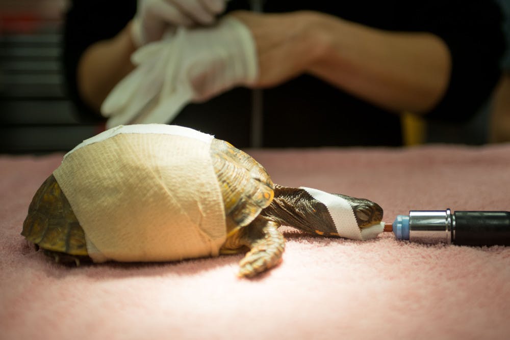 2014-08-22-Wildlife-Clinic-36