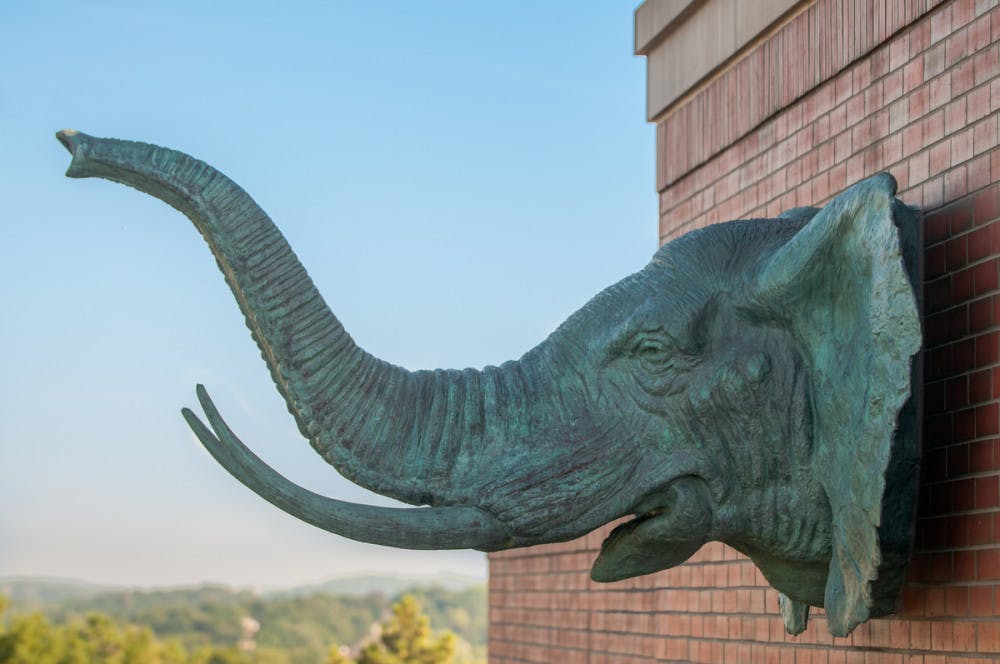 2014-08-20-Dowling-Solar-Panels-5