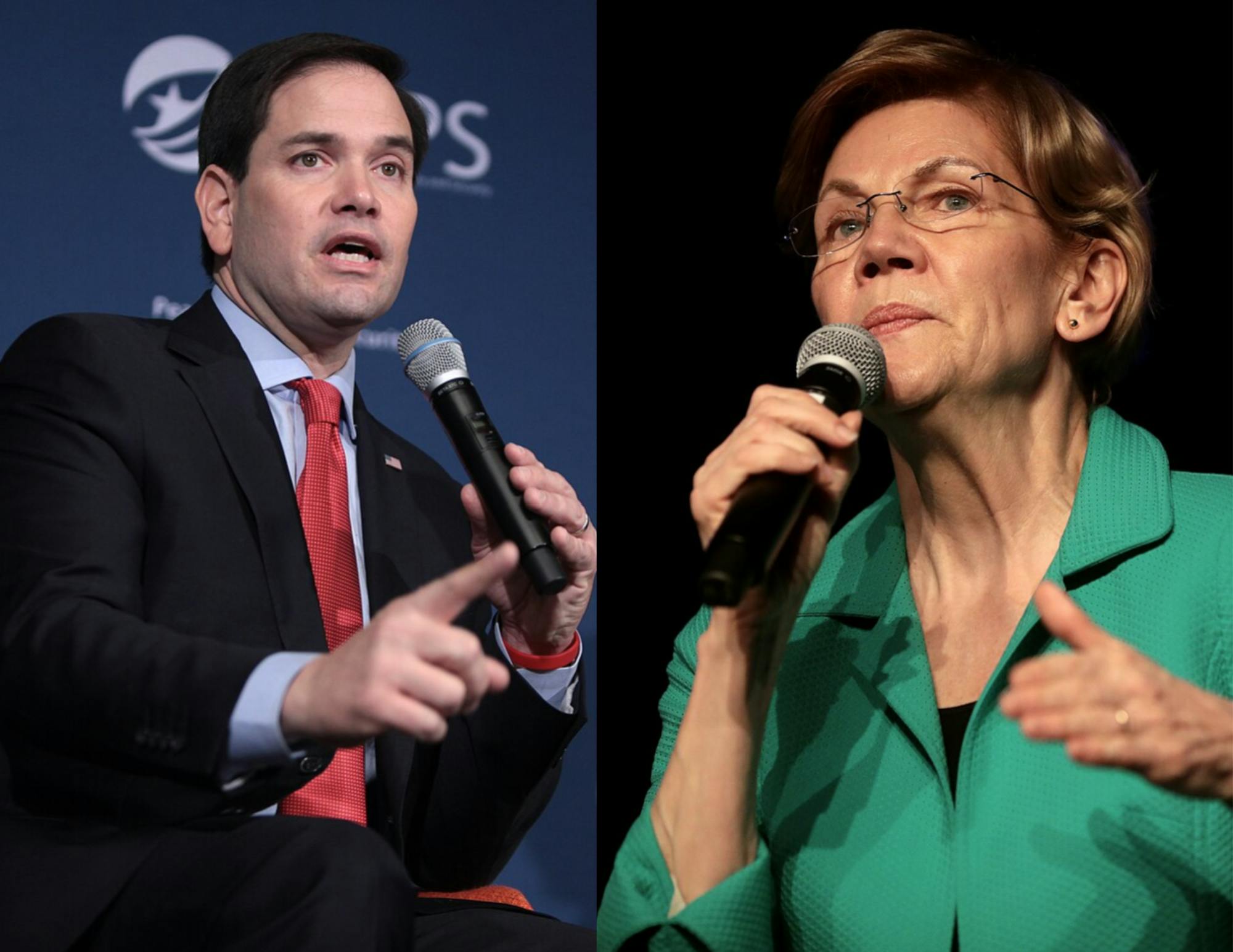 Warren and Rubio