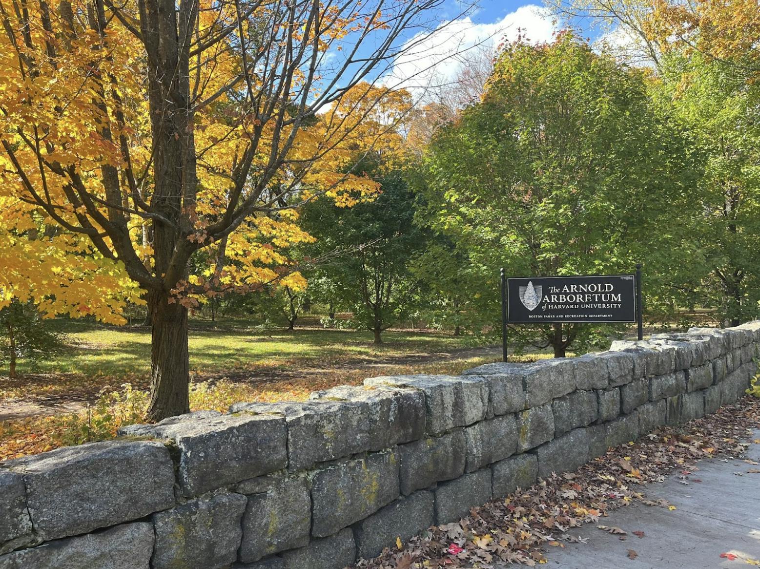 Screenshot 2025-10-28 at 1.38.40 PM.png