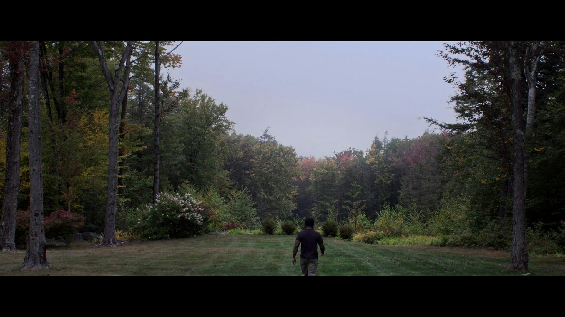 02 Walking Out NF Still.jpg