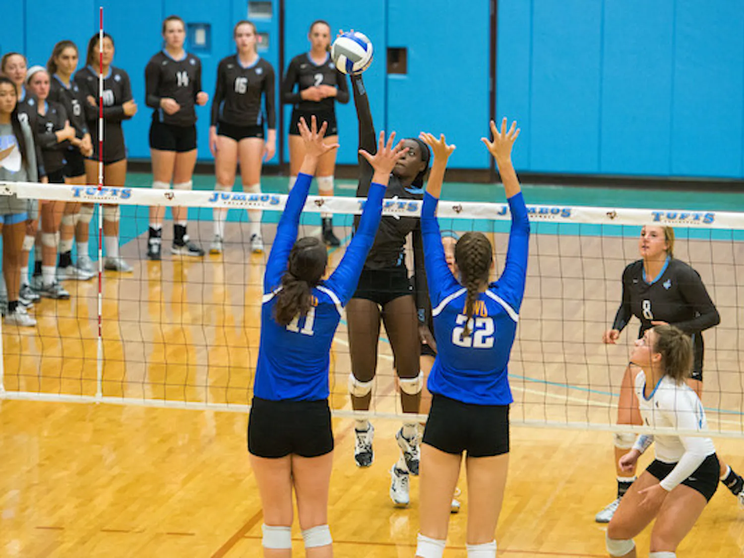 2016-09-14-Volleyball-vs-Roger-Williams-0361