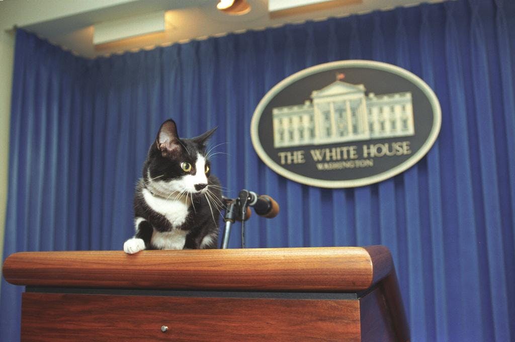 photograph-of-socks-the-cat-standing-on-the-press-podium-in-the-press-room-fd4356-1024.jpg