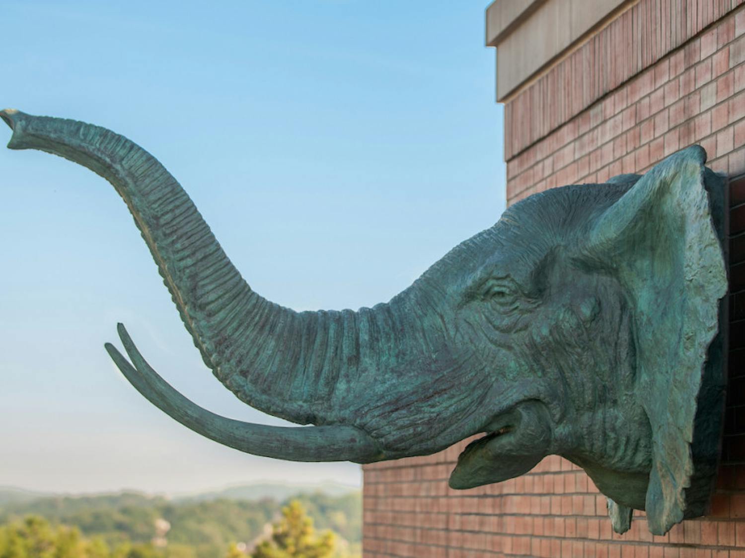 2014-08-20-Dowling-Solar-Panels-5