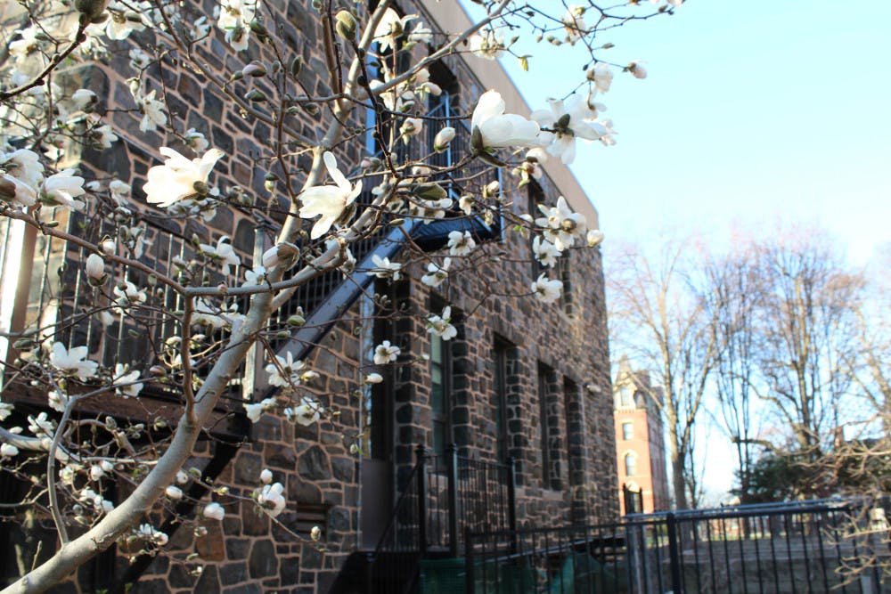 B9DE745F-B1DD-49EC-850B-E39B8349E01D