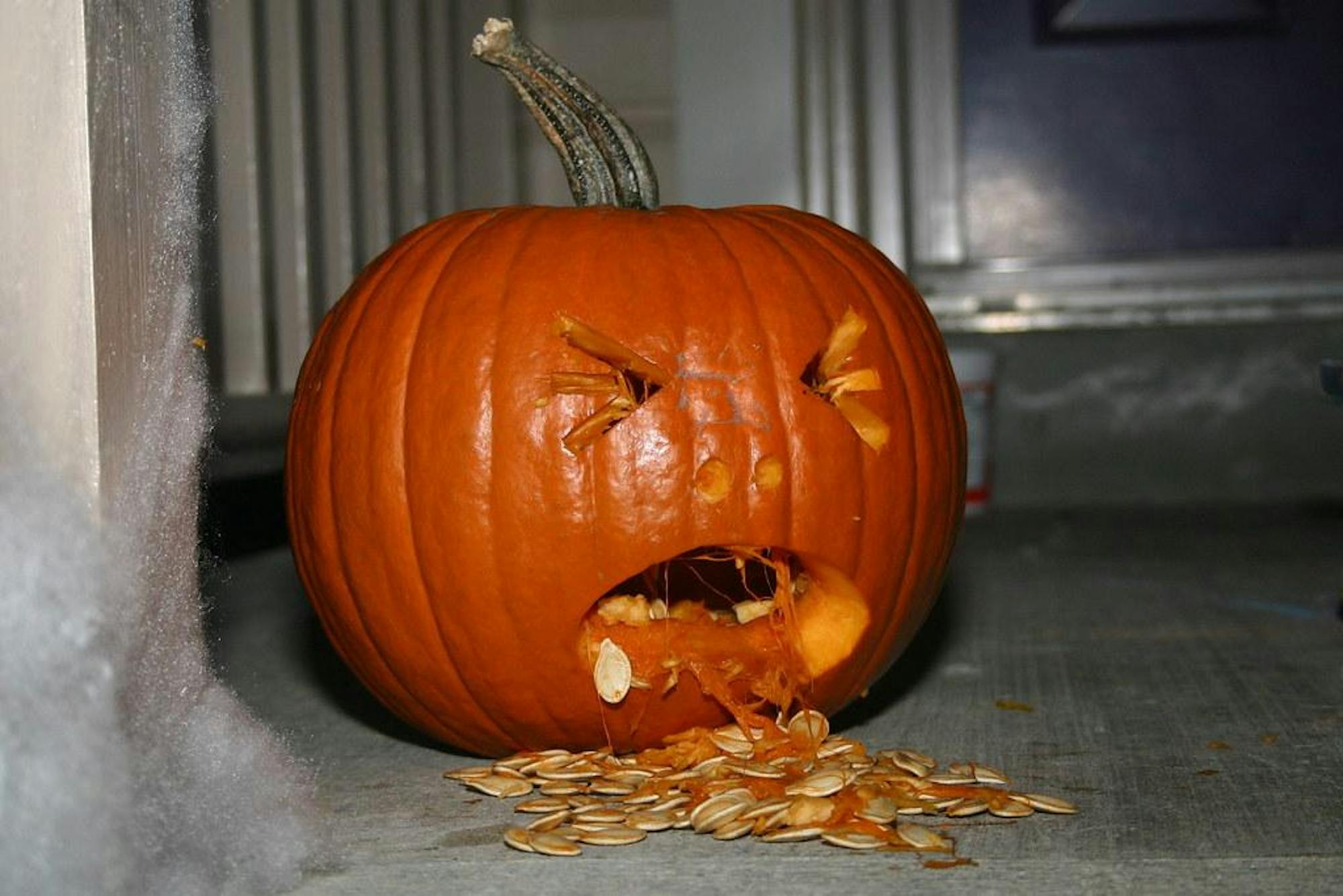 pumpkin.jpg