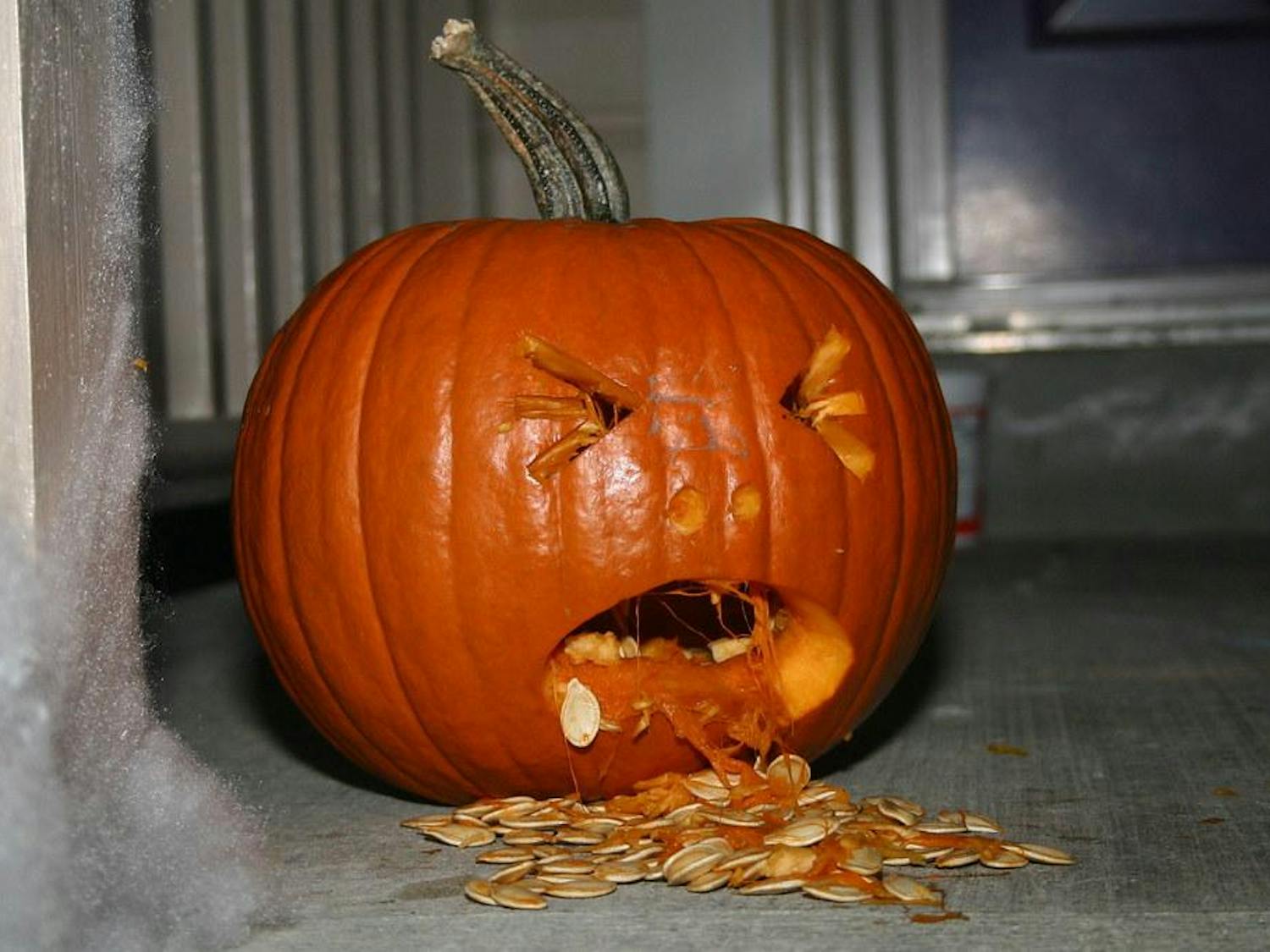pumpkin.jpg