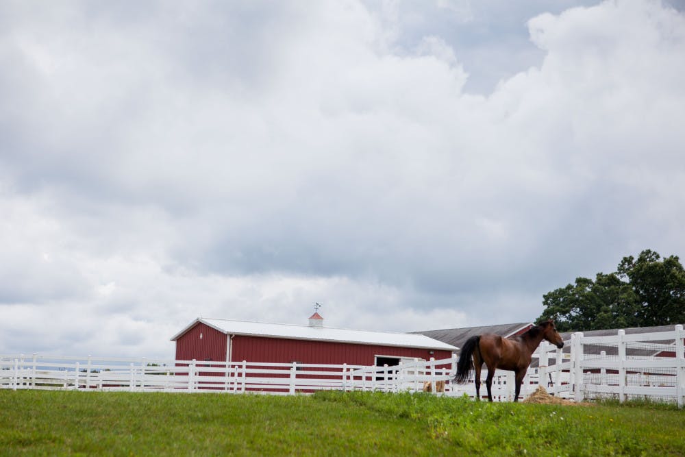 2014-08-22-Wildlife-Clinic-50