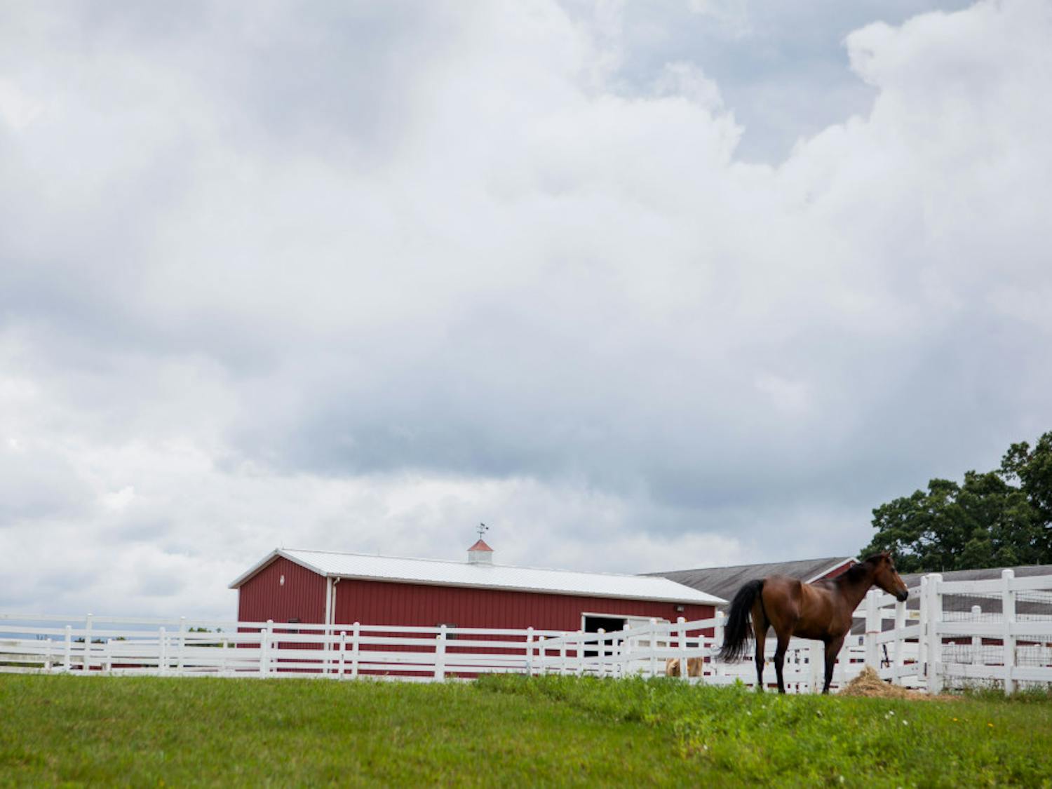 2014-08-22-Wildlife-Clinic-50