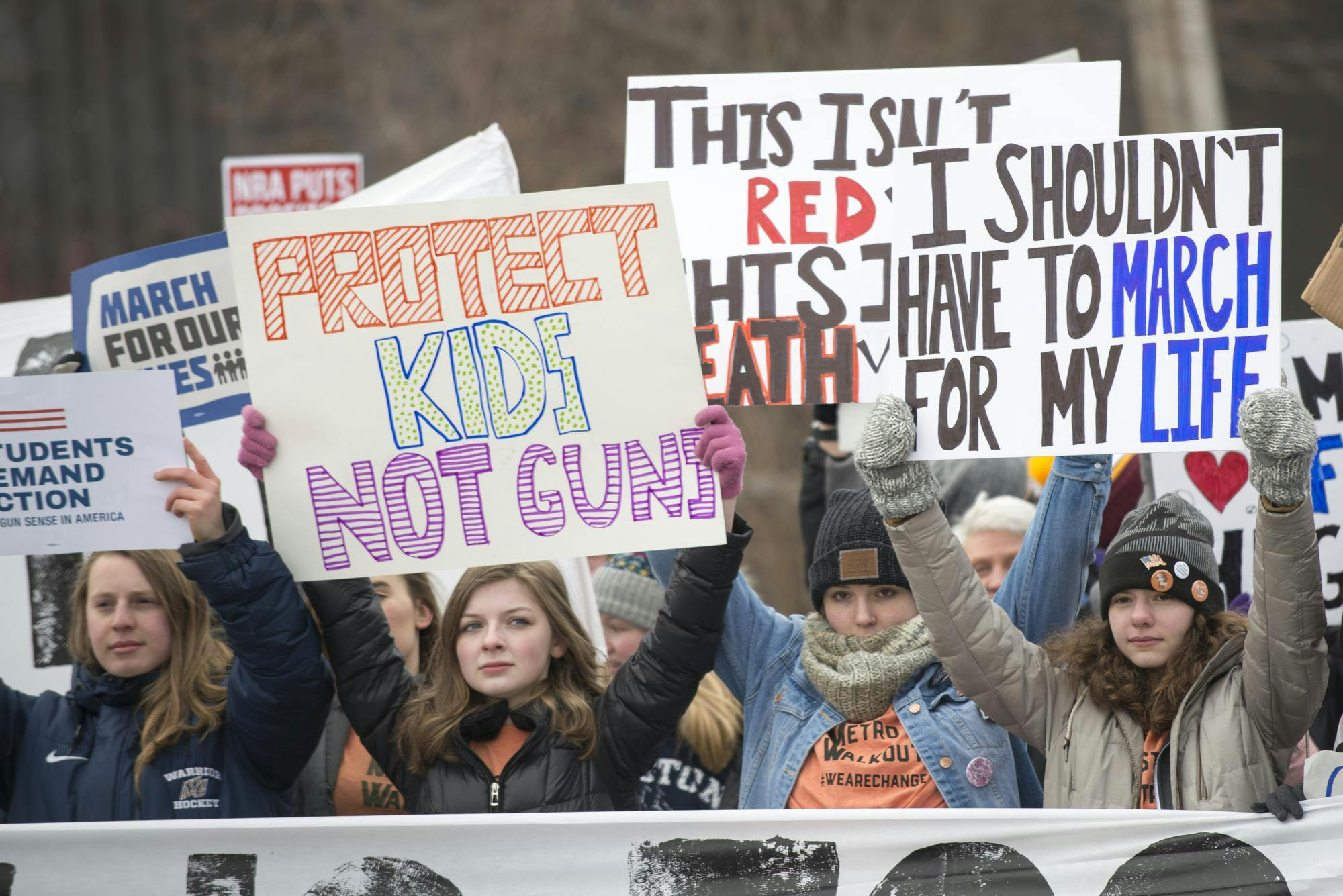 Minnesota_March_for_Our_Lives_-_27123210088.jpeg