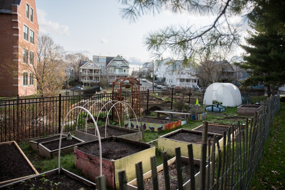 2015-04-21-Student-Garden-3