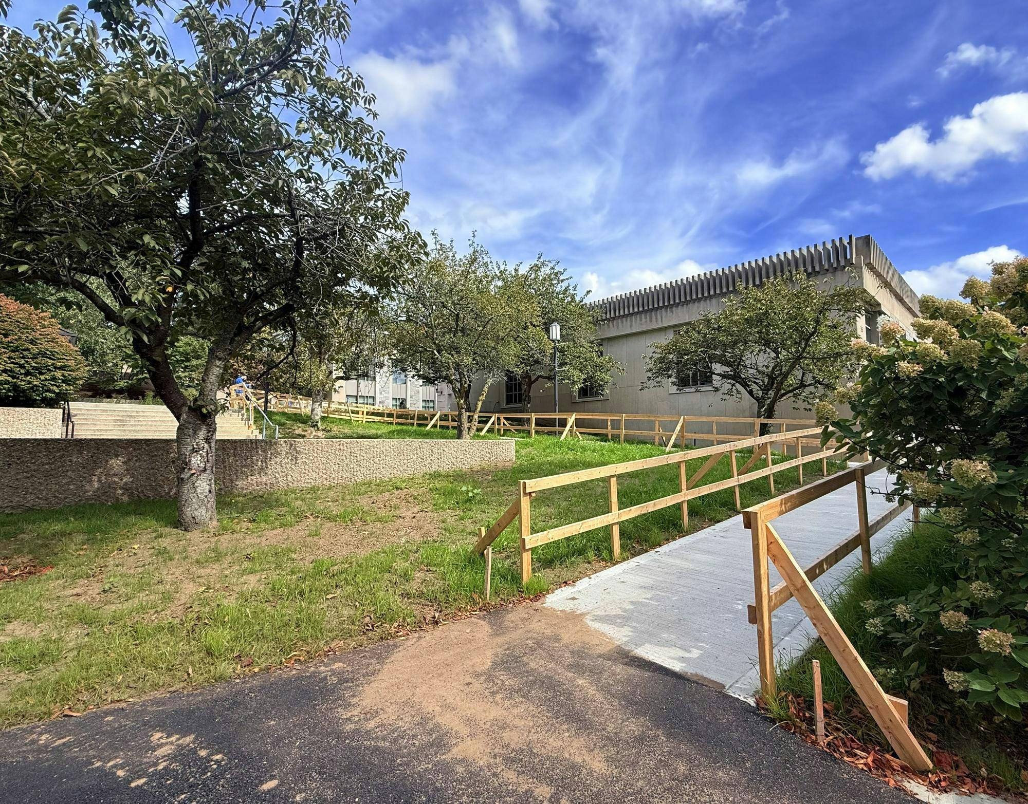 New ADA Tisch ramp with wooden "rails". jpg