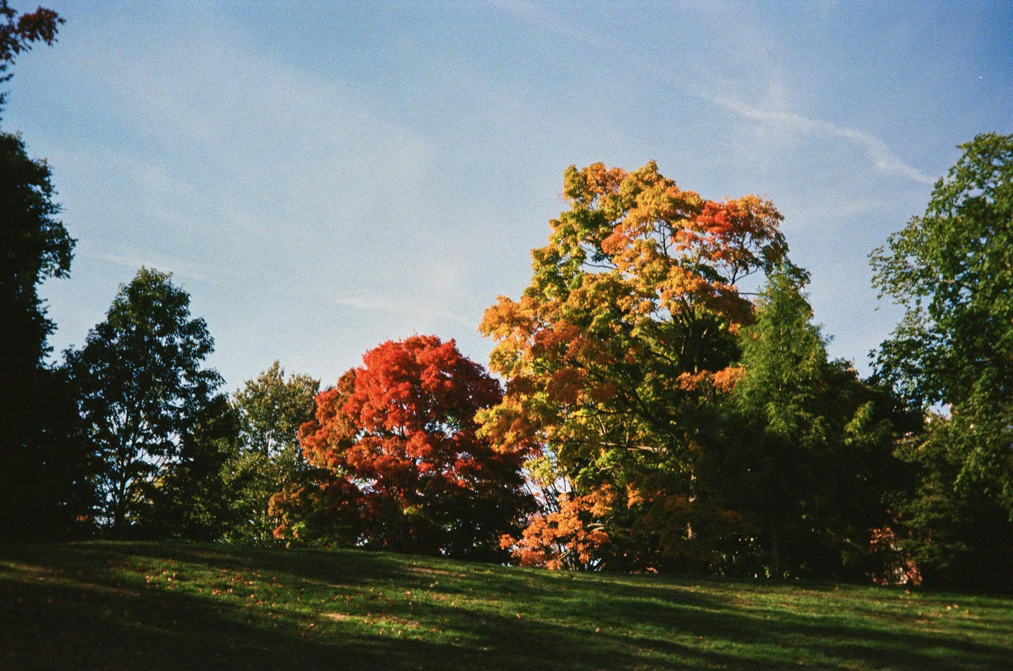 10-000048570021.jpg