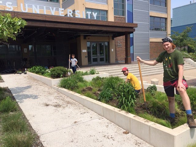 pollinator-garden-TPI