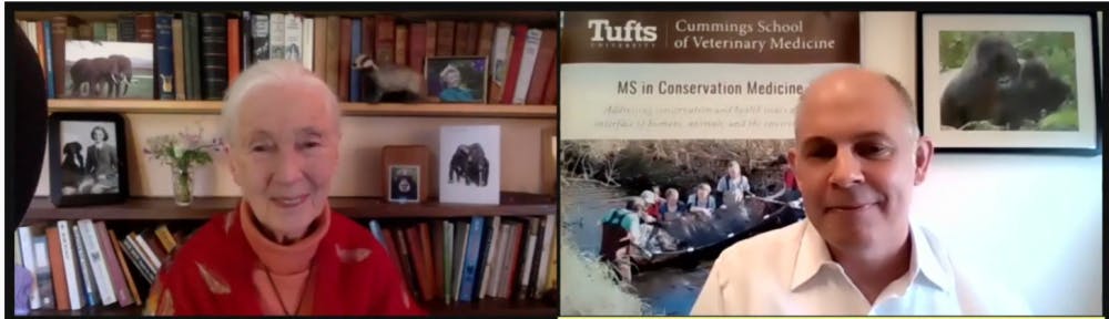 Screen-Shot-2021-05-03-at-1.37.45-AM