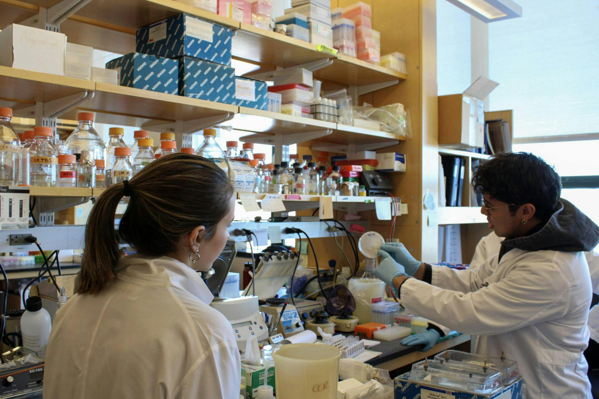 Undergraduate Biology Research Lab