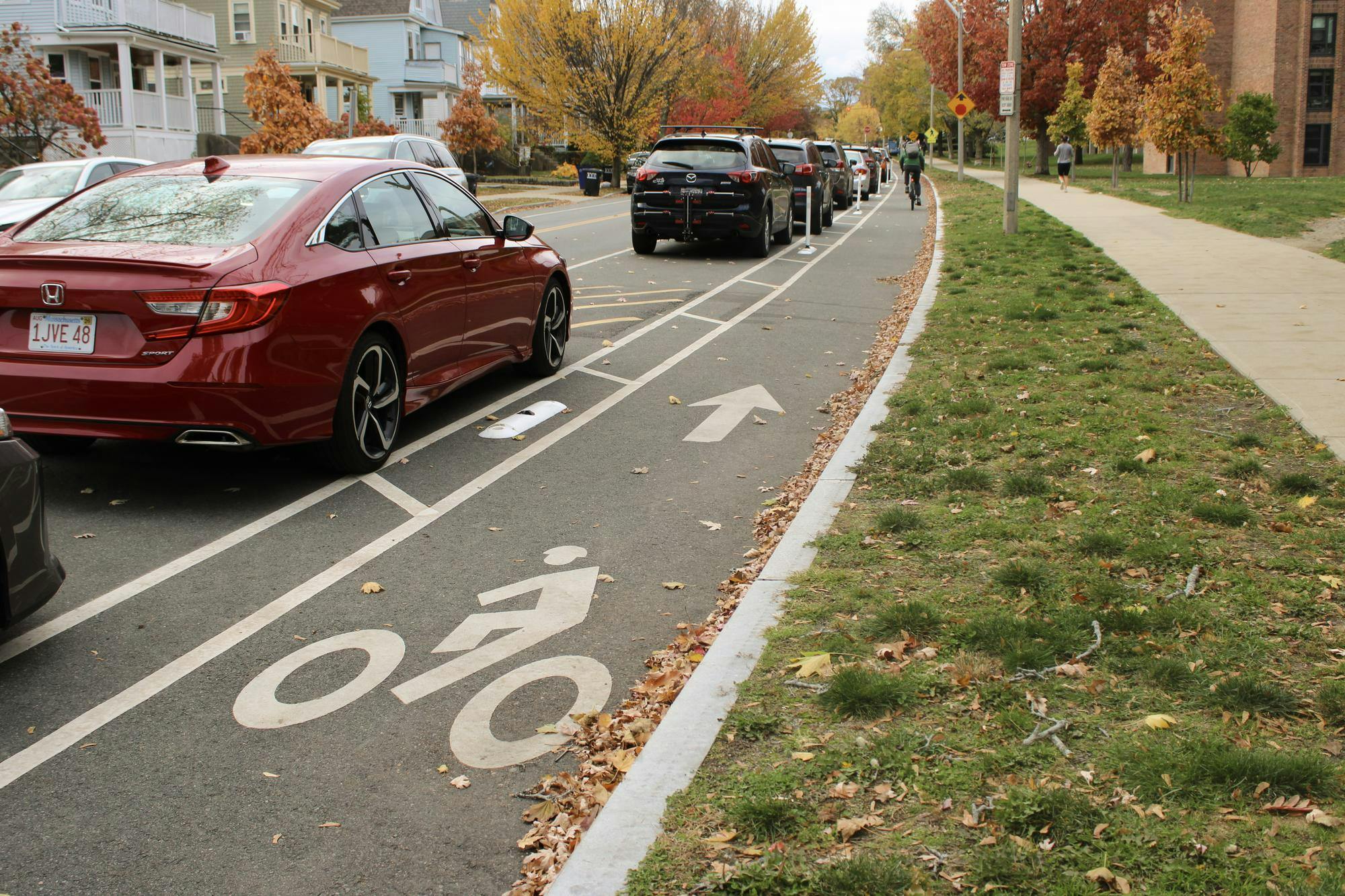 Somerville Bike Lanes.jpg