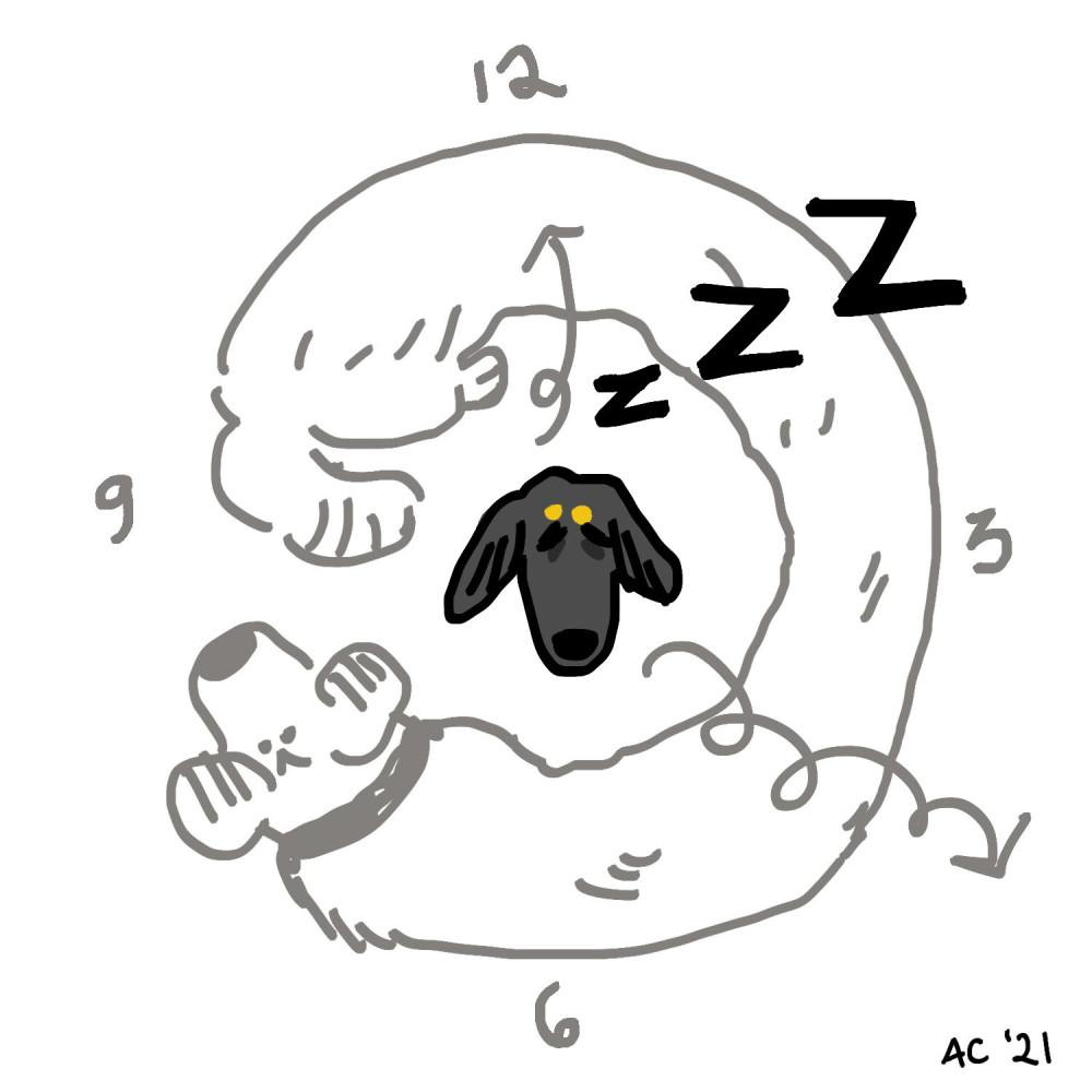 MyDog_SpringForward__03__03_