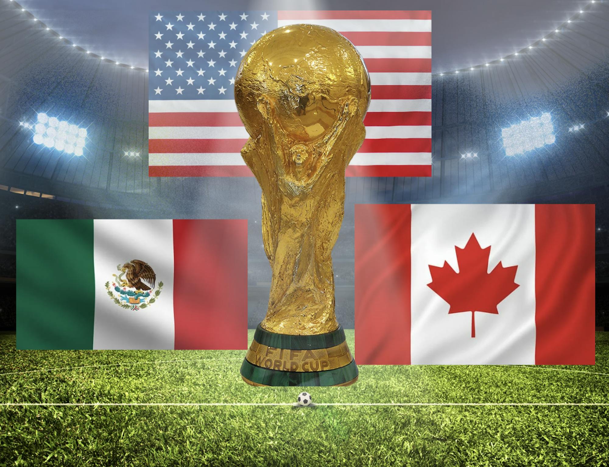 Road to the World Cup Graphic