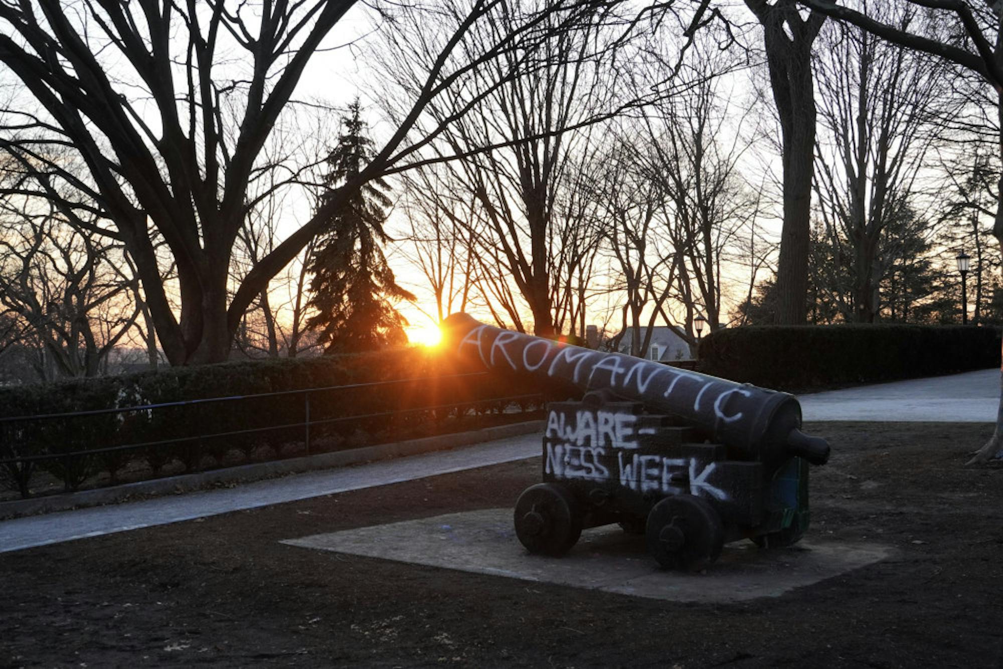 Firing cannons in neighborhood probably not free speech