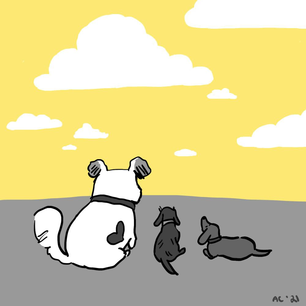 MyDog_Cloud_Watching__04__21_21_