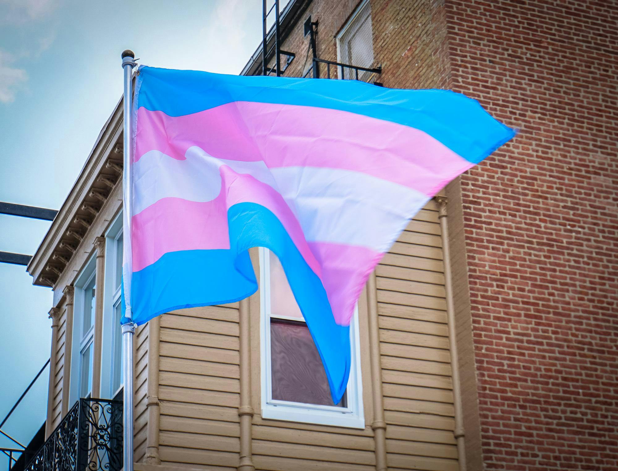Trans Flag
