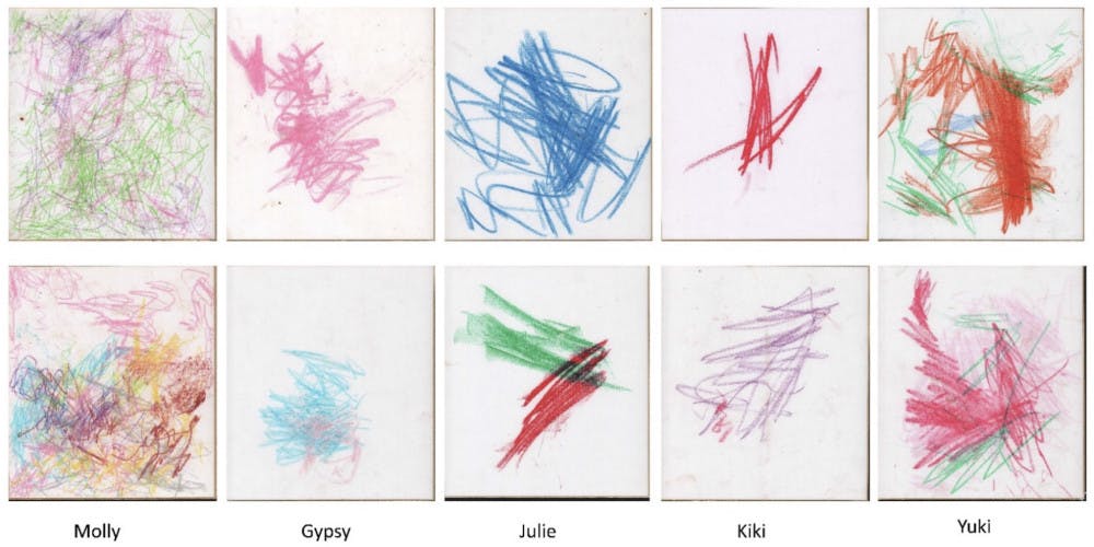 animals-11-03202-g001