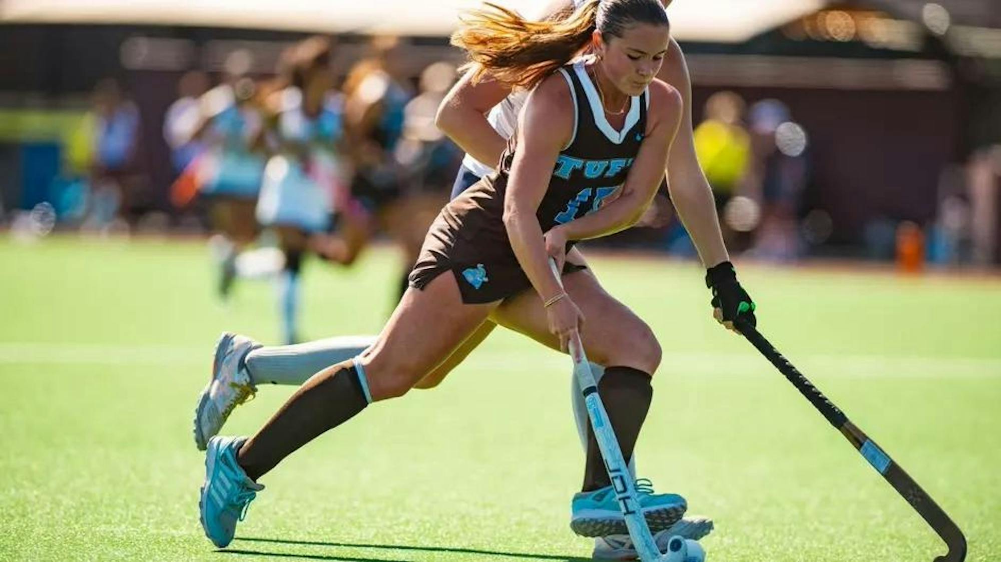 Adobe Express - file.jpg