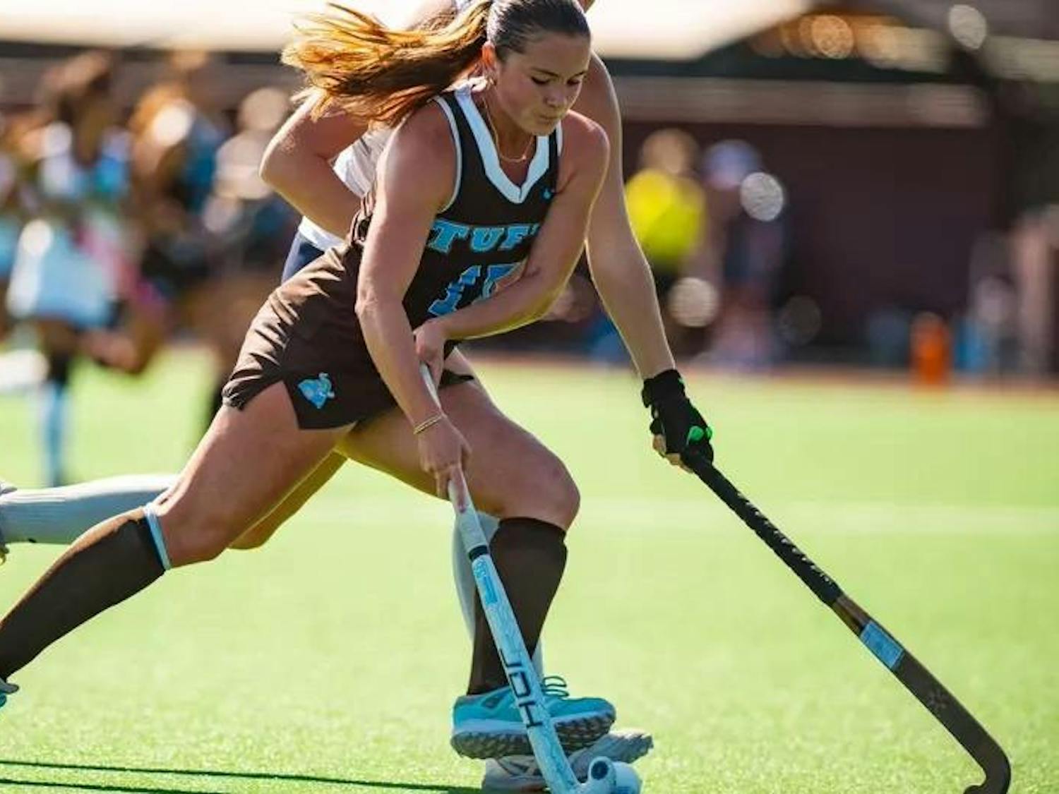 Adobe Express - file.jpg