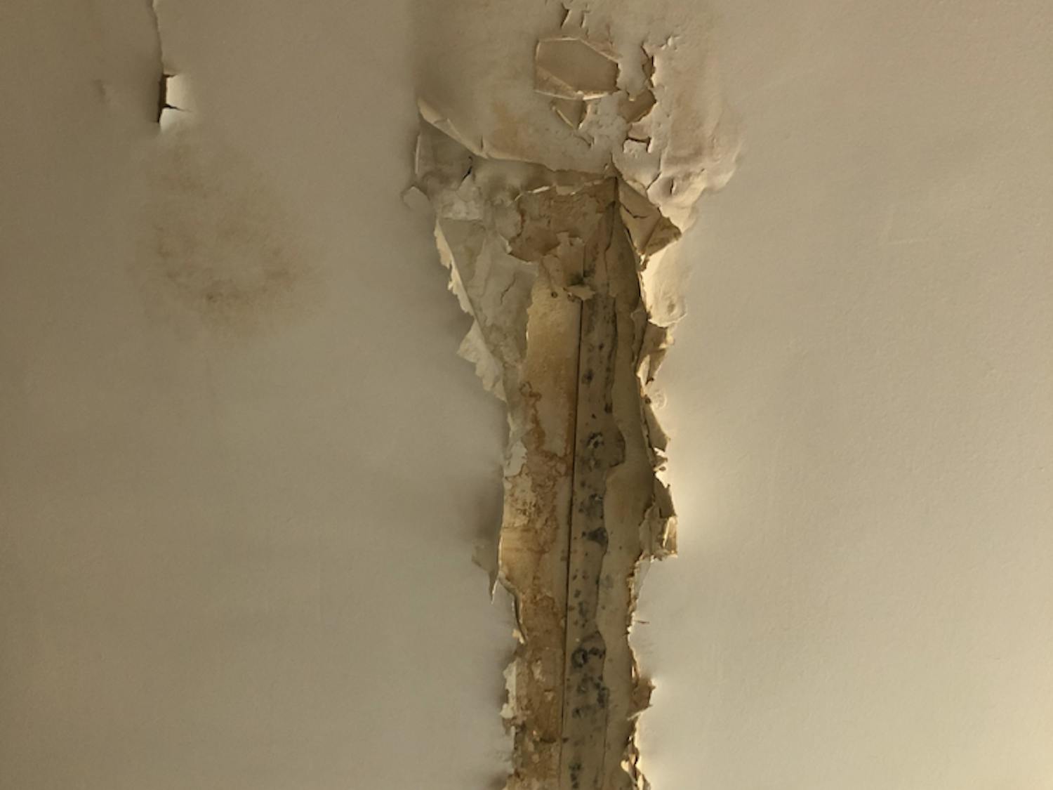 Screen-Shot-2021-05-03-at-4.36.07-PM