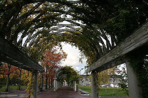 2997963450_90c9bcc37f_z