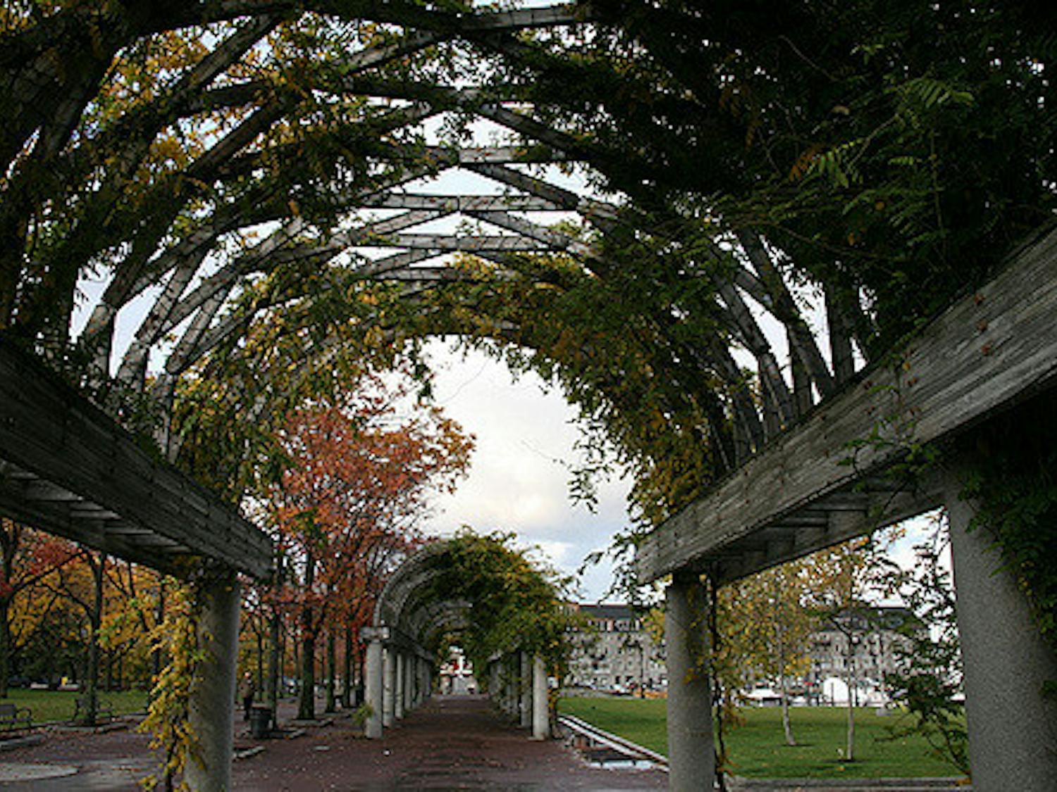 2997963450_90c9bcc37f_z