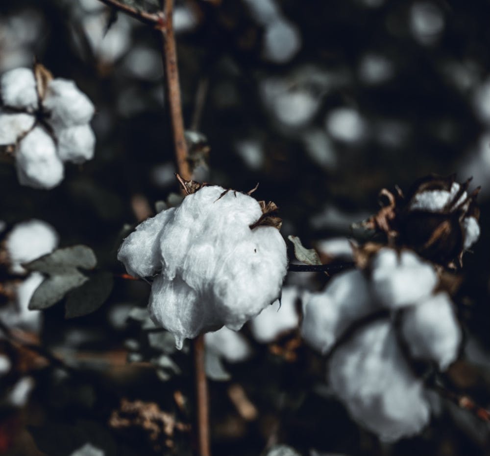 2D99472B-F732-44B0-BD76-EBA7D413C8A0