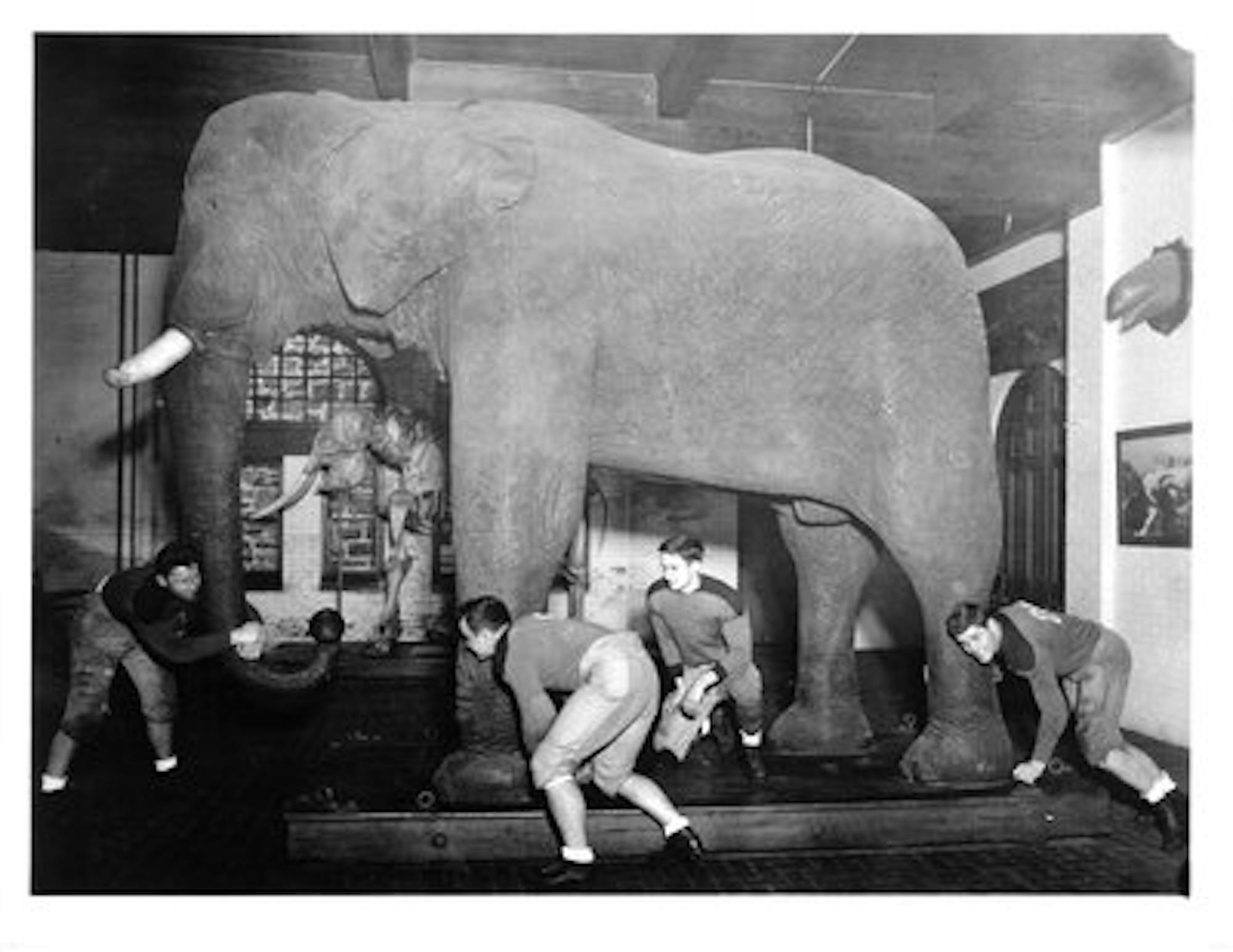 Jumbo with football players