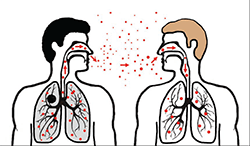 A graphic depicting disease transmission via sneezing is pictured..png