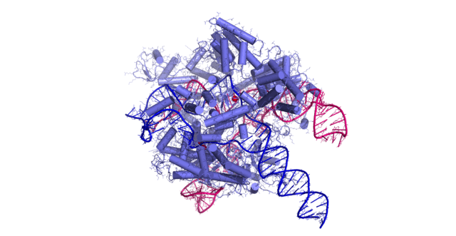 640px-CRISPR_CAS9_technology