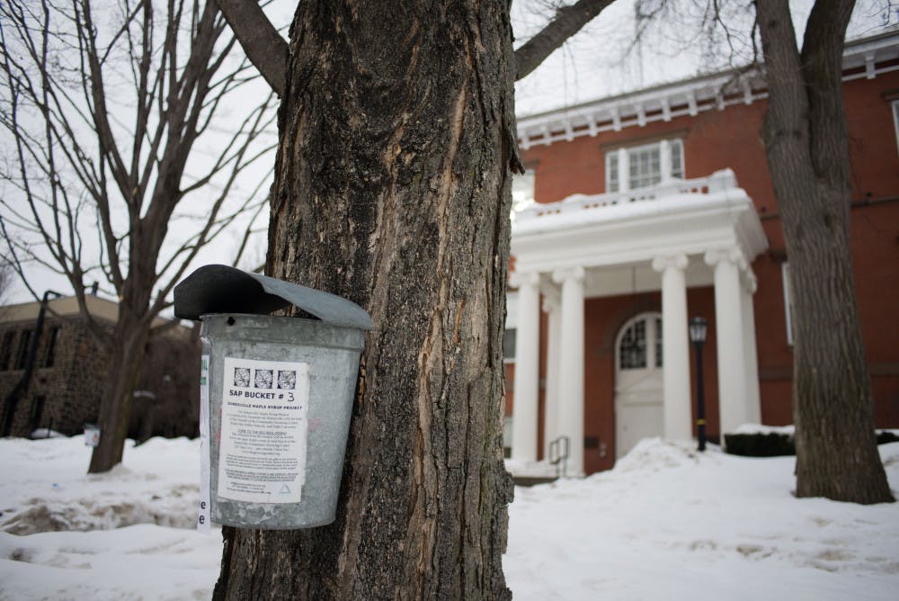 2015-03-03-Maple-Syrup-6