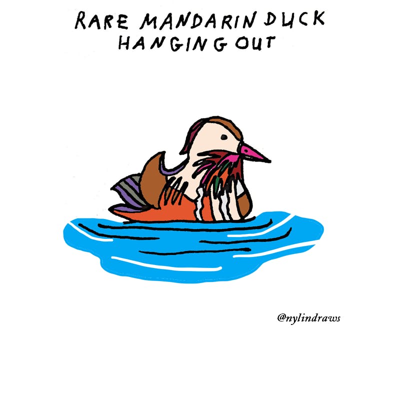 Non-Athletes-Sitting-in-Dewicks-Athlete-Section