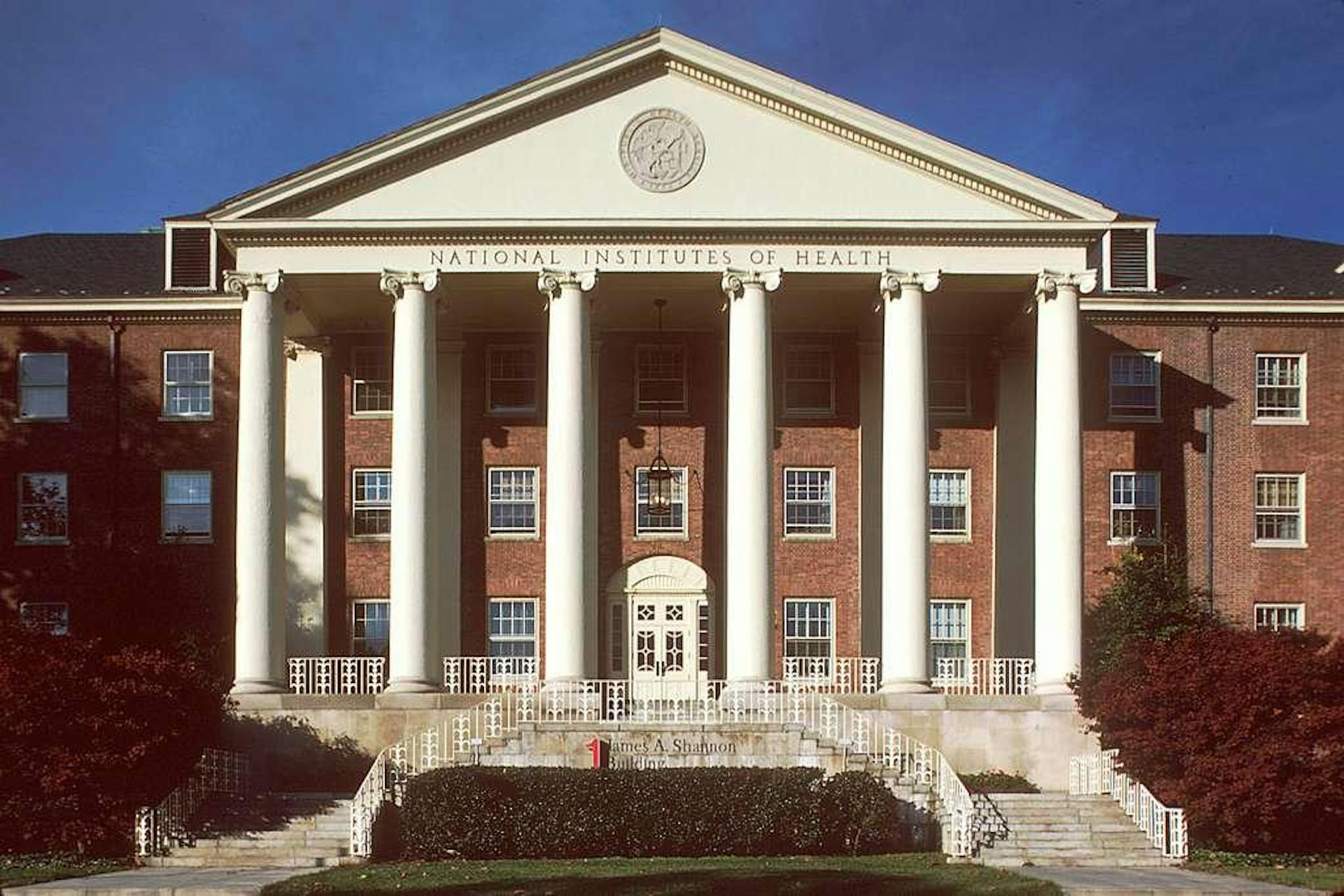 NIH.jpg
