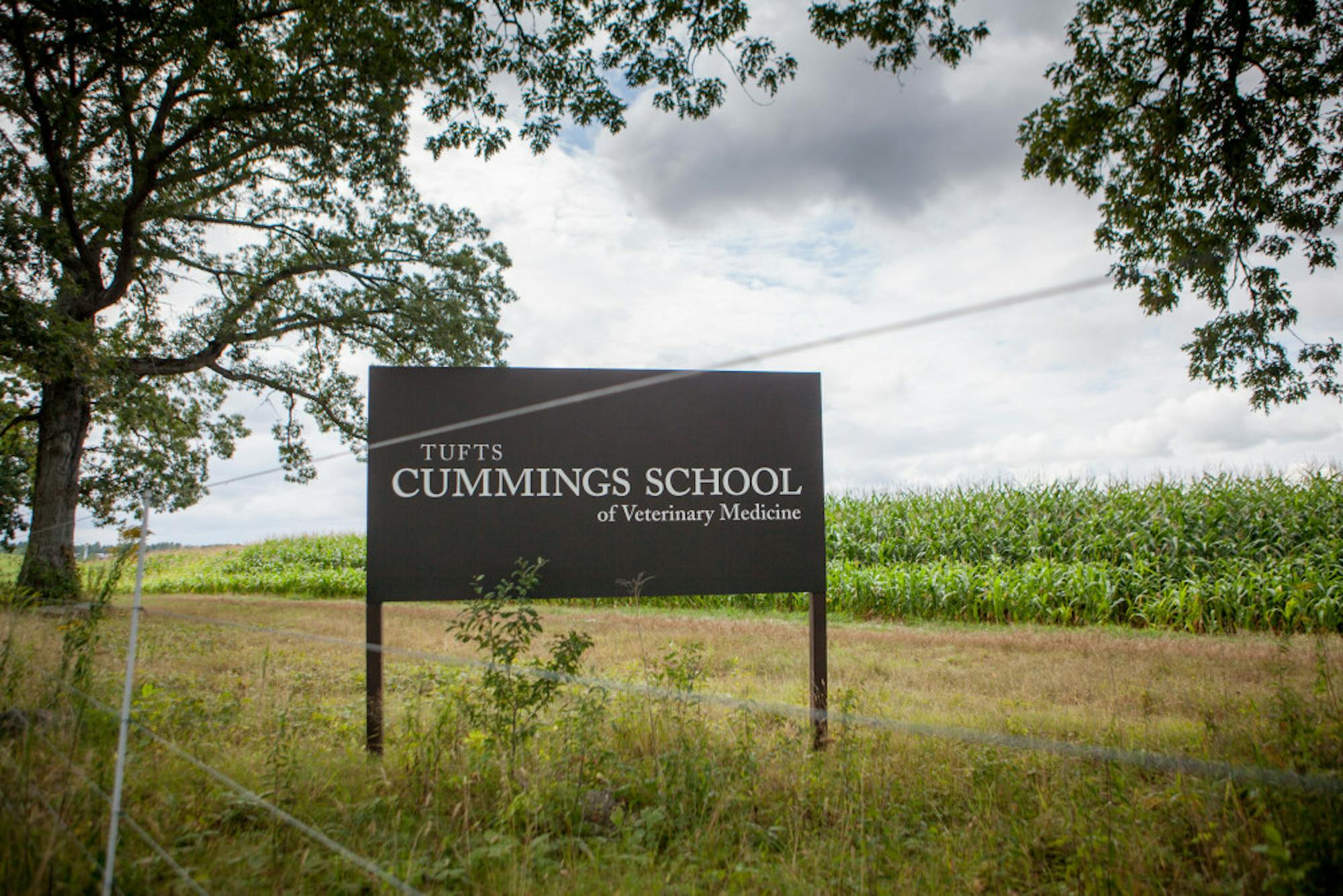 2014-08-22-Wildlife-Clinic-73