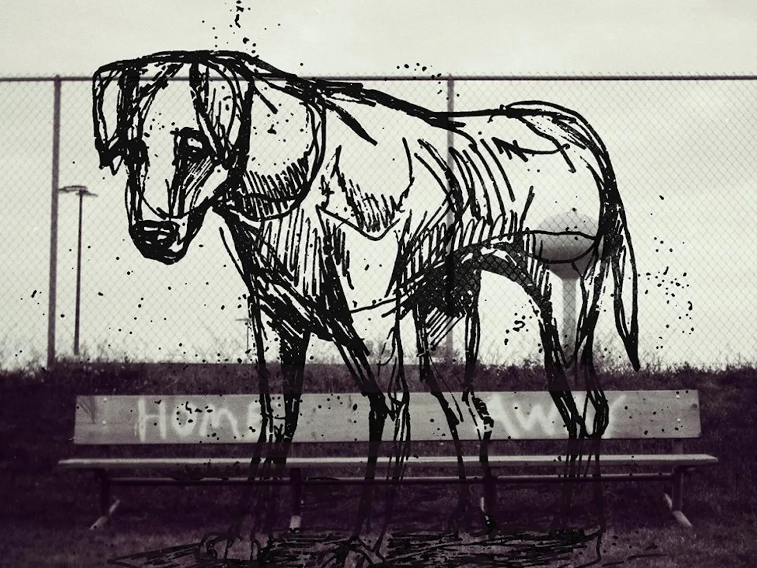 wonder-years-sister-cities