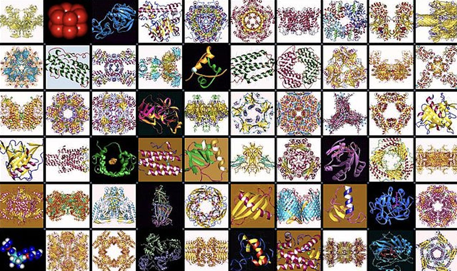 Protein_Mosaic.png