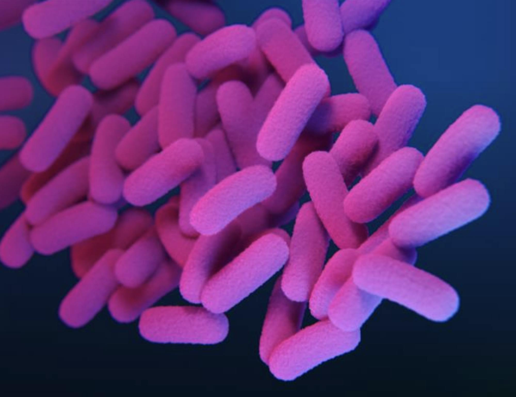 Screenshot 2025-11-13 at 7.55.35 PM.png