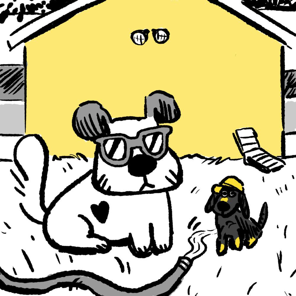 MyDog_Backyard_Staycation__03__24__21_-