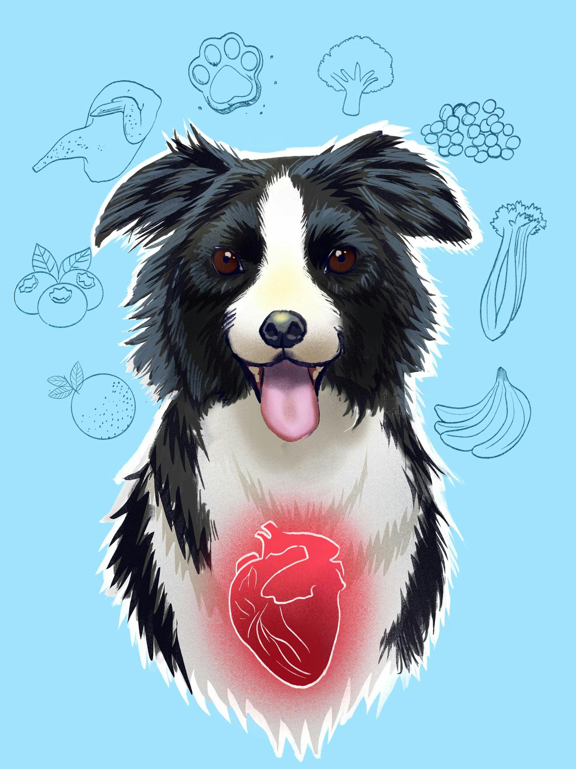 Dr. Lisa Freedman: Canine Health Award graphic