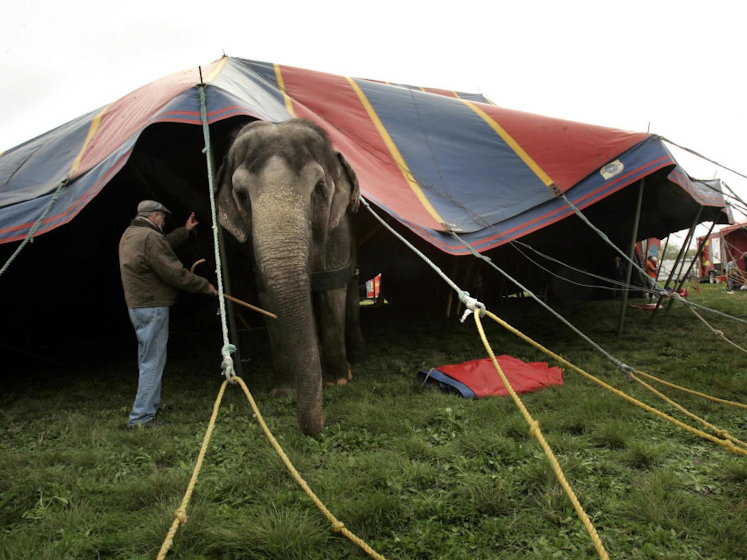 US_NEWS_LITTLEBIGTOP_1_DA