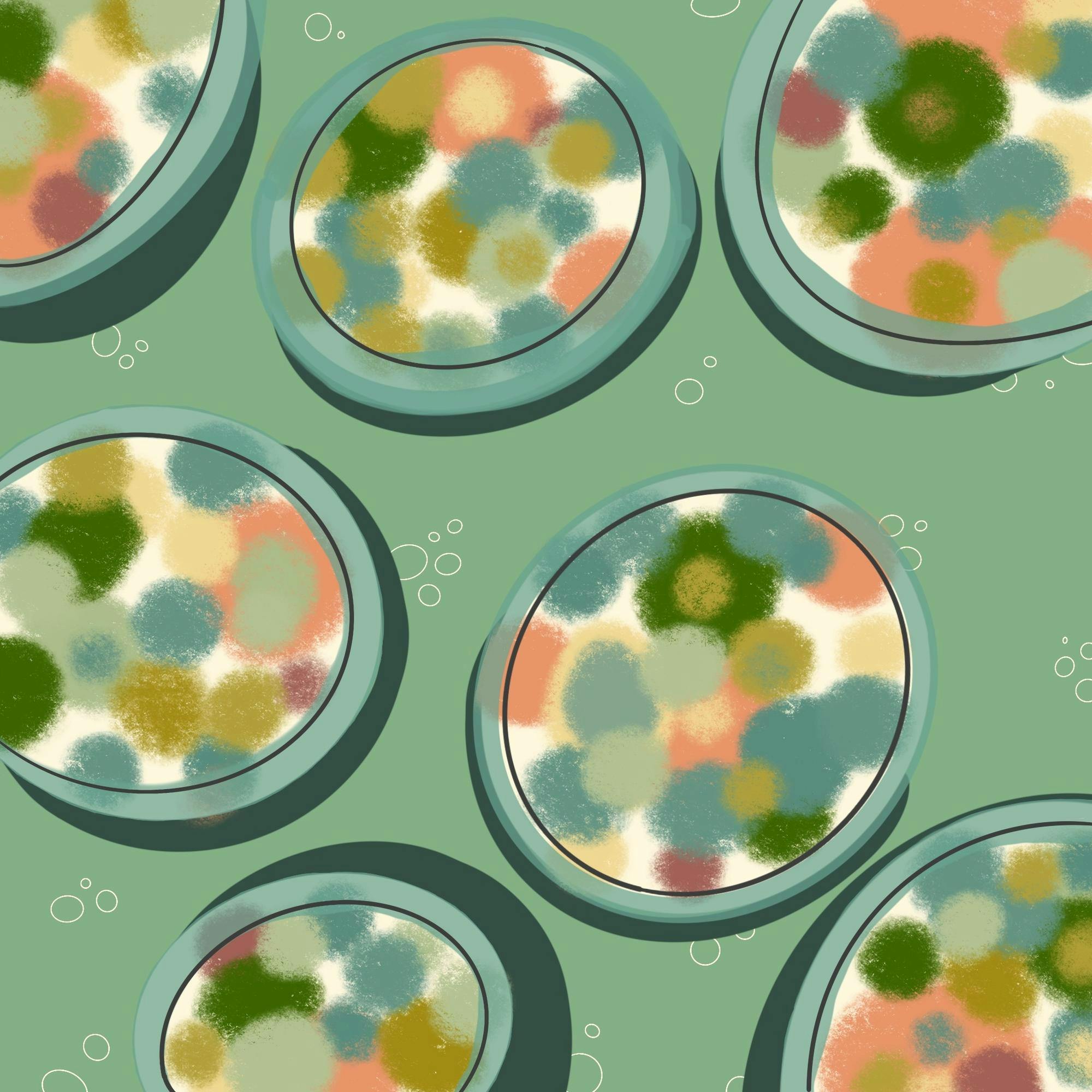 Student Research at Tufts