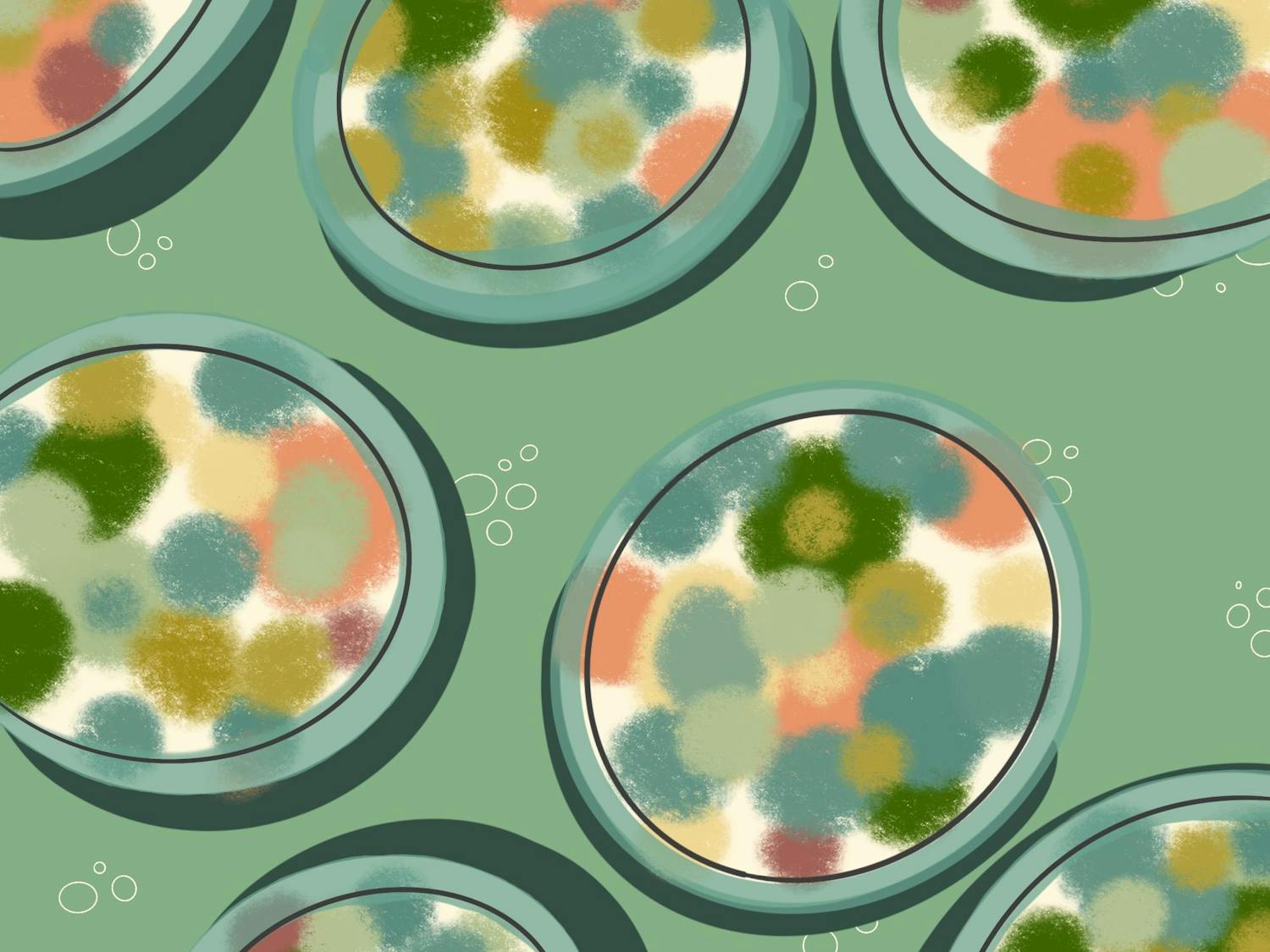 Student Research at Tufts